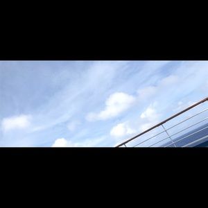 Meet your Posher, Bailey